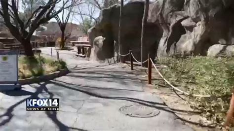 After more than a decade, the El Paso Zoo says farewell to its director | KFOX