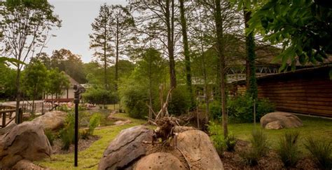 Zambezi River Hippo Camp, Memphis Zoo, Memphis, Tennessee, USA by Torre ...