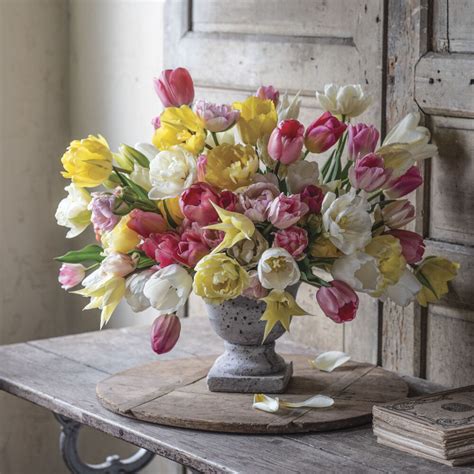 Sandra Sigman Celebrates Tulips - Flower Magazine