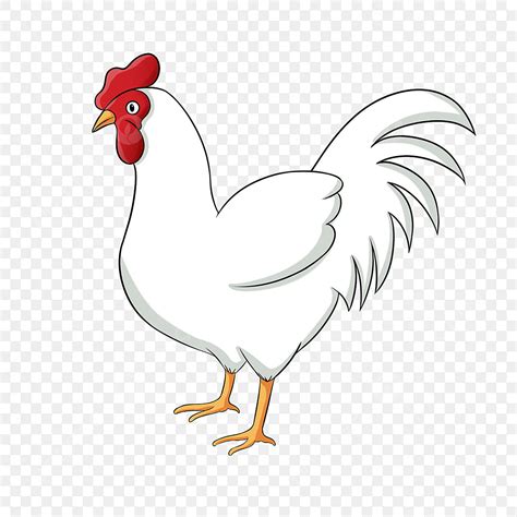 Roosters Clipart PNG Images, White Standing Rooster Clipart, Red ...