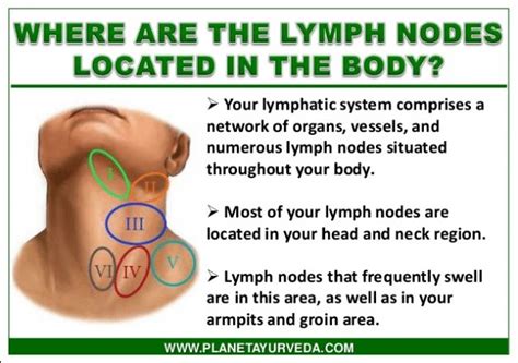 #lymphmassage #lymph #massage #neck | Swollen lymph nodes, Lymph nodes ...