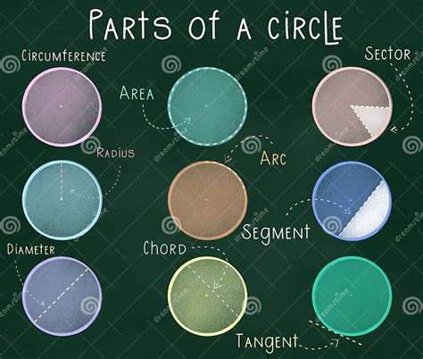 Parts Of A Circle With Circumference Area Sector Radi - vrogue.co