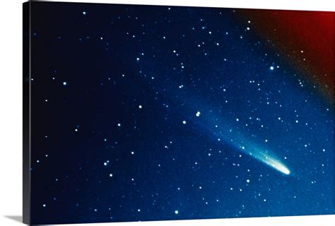 Kohoutek Comet Wall Art, Canvas Prints, Framed Prints, Wall Peels ...