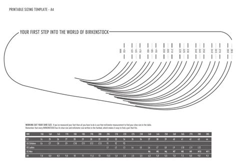 Birkenstock Printable Size Chart - Printable Word Searches