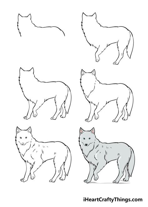 Arctic Fox Drawing - How To Draw An Arctic Fox Step By Step