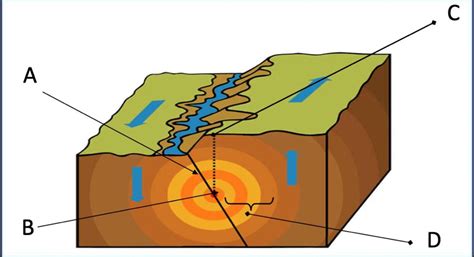 How Do Earthquake Occur Brainly - The Earth Images Revimage.Org