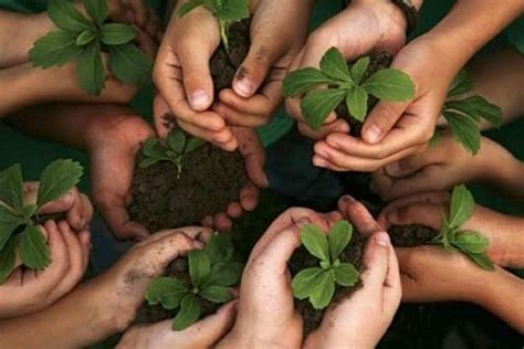 World Environment Day 2020: All About History, Significance of The Day ...