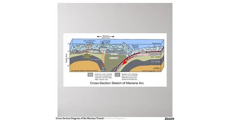 cross_section_diagram_of_the_mariana_trench_poster ...