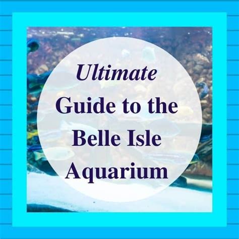 Belle Isle Aquarium: 2024 Ultimate Guide - My Michigan Beach and Travel