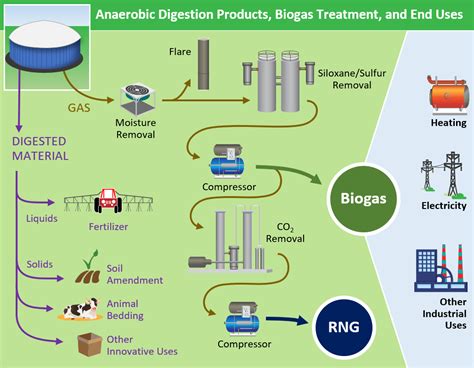 Renewable Natural Gas | US EPA