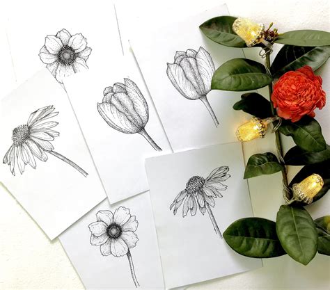 Floral Illustration- Learn to draw Assorted Flowers- Ink Pen Sketching | Meenakshi Muthuraman ...