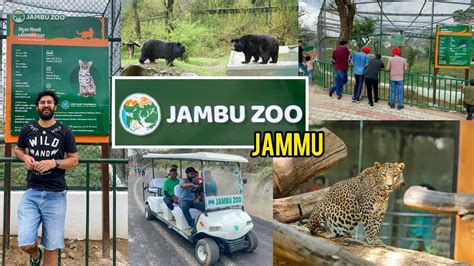 JAMBU ZOO IN JAMMU | Largest Zoo of North India | Leopard | Bears | Crocodiles | DSBOSSKO VLOGS ...