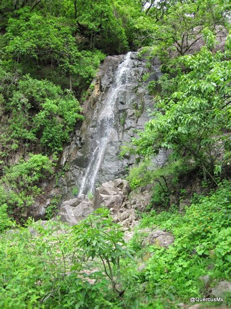 Bitácora QMX: Excursión a la cascada El Tepalo