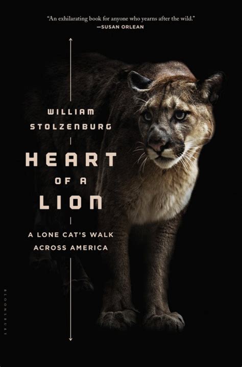 Heart of a Lion: A Lone Cat's Walk Across America | NHBS Academic & Professional Books