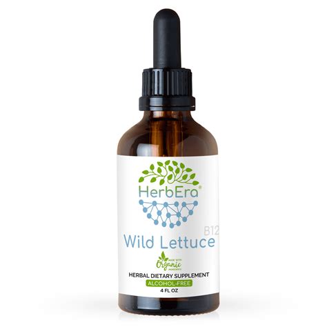 Wild Lettuce Alcohol-FREE Herbal Extract Tincture, Super-Concentrated ...