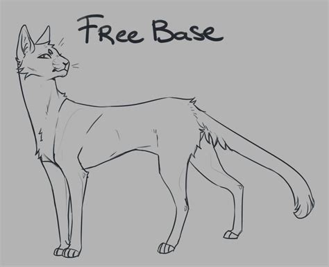 Free Cat Base by Niuwna on DeviantArt