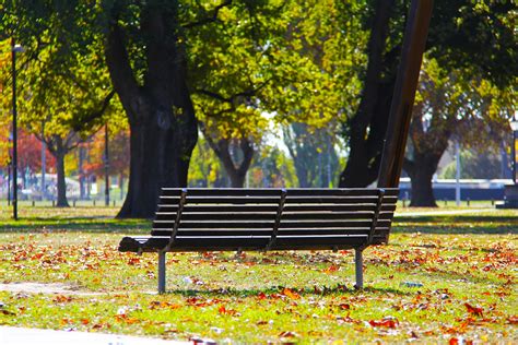 1000+ Beautiful Park Bench Photos · Pexels · Free Stock Photos