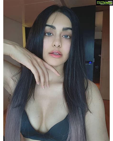 Adah Sharma Instagram - If you were an non human animal, who would you ...