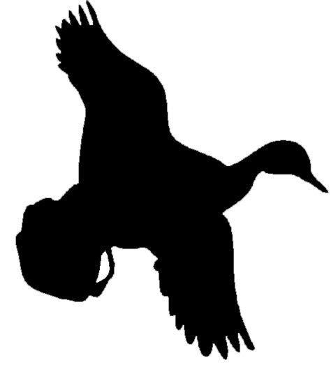 Ducks In Flight Silhouette at GetDrawings | Free download