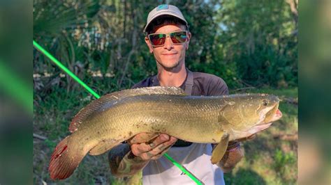 Fishing for Bowfin in the local ponds and lakes! - YouTube