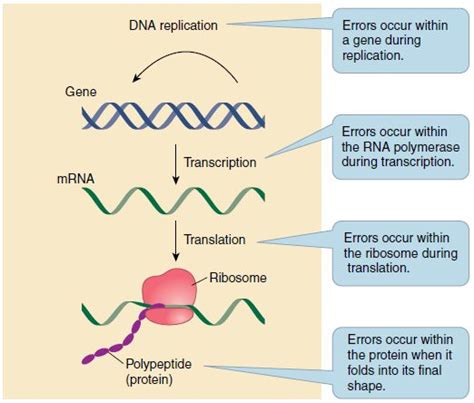 Genetic Mutation Types