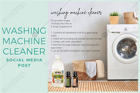 DIY Washing Machine Cleaner | Washing machine cleaner, Washing machine ...