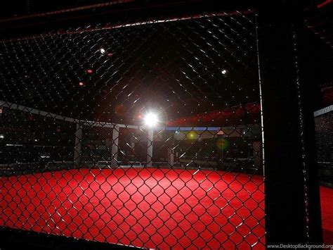 UFC Cage Wallpapers - Top Free UFC Cage Backgrounds - WallpaperAccess