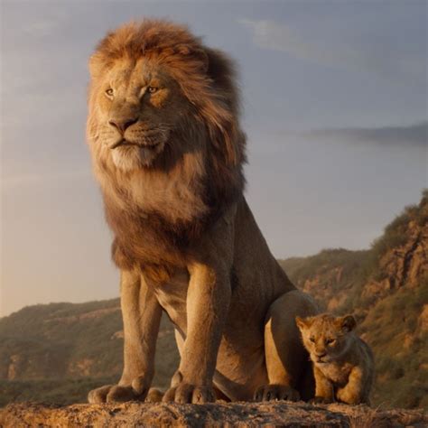 The Lion King film review: Disney’s photo-real remake is an unerringly faithful take on 1994 ...