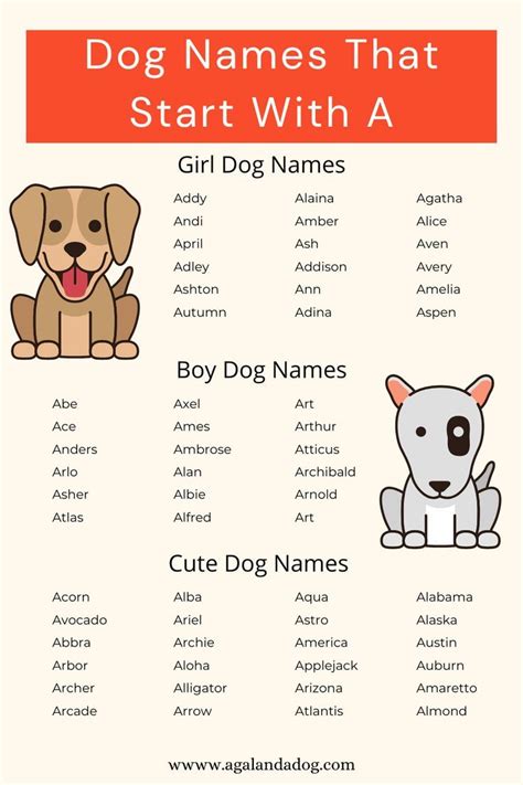 100's of Awesome Dog Names That Start With A | Dog names, Girl dog ...