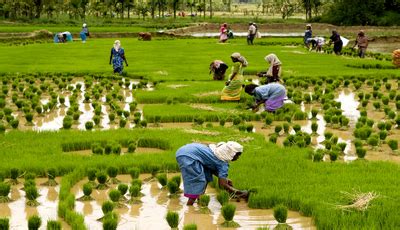 Places to visit in alappuzha, Pathiramanal, Kuttanad, Alappuzha Beach