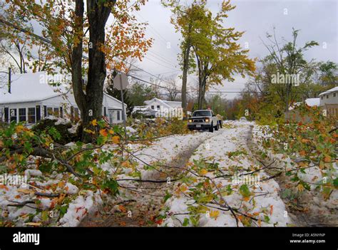 Damage of the snow storm Stock Photo - Alamy