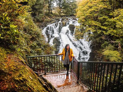 Swallow Falls Waterfall in Wales (Rhaeadr Ewynnol) - The Ultimate ...