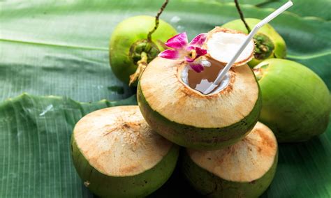 கோடை காலத்தில் இளநீர் குடித்தால் இவ்வளவு நன்மைகளா? | drinking tender coconut benefits