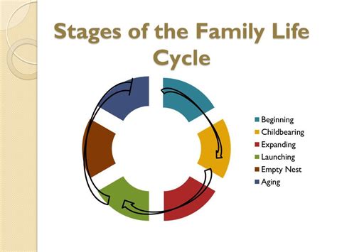 4 Stages Of Family Life Cycle