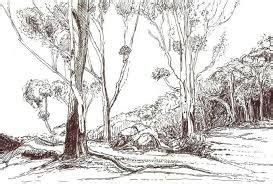 Image result for realistic shrub drawing | Zeichnungen, Bilder, Landschaft