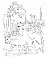 Free Printable Coyote Coloring Pages For Kids sketch template