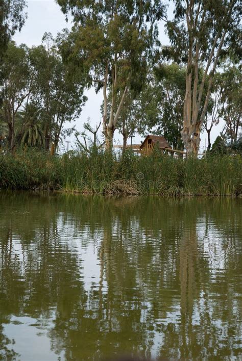 The Albufera Natural Park stock image. Image of palmar - 42706611