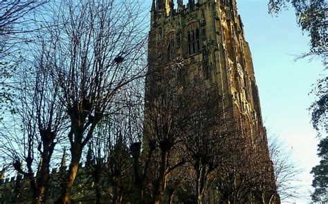 THE 10 BEST Things to Do in Wrexham - 2021 (with Photos) | Tripadvisor - Must See Attractions in ...