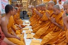 Phathoc.net - English - A Common Buddhist Chanting in English