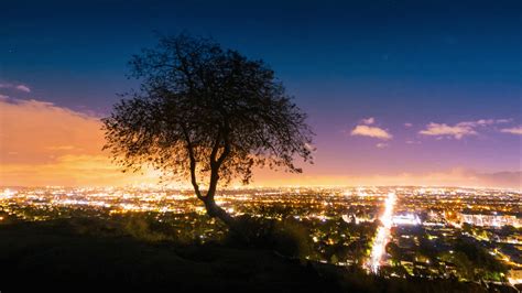 Lone Tree Silhouette Wallpapers - Wallpaper Cave