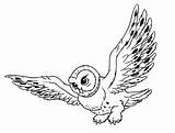 Snowy Owl Coloring Pages  Home sketch template