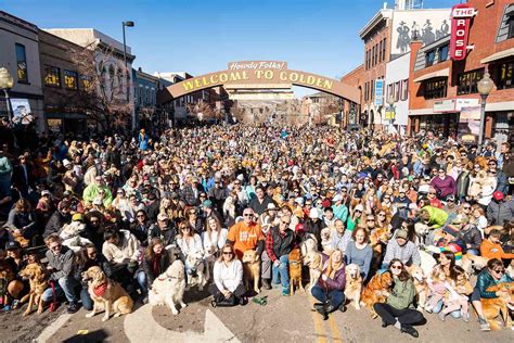 Over 1,000 Golden Retrievers Visit Golden, Colorado for Adorable Event