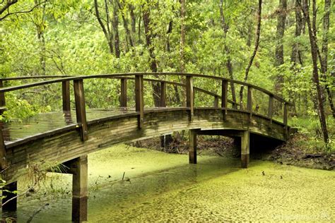 Nags Head Woods Preserve photo spot, Kill Devil Hills