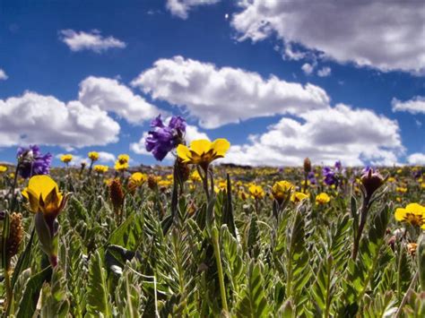 CamperEdge | Custer Gallatin National Forest