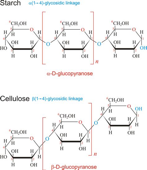 Download polysaccharide.png image from www.periodni.com