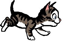 Animated Cat Images, Pictures & Gifs | Animation, Animated gif, Animated images