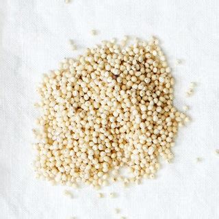 Grain-Identification Guide: Spelt, Millet, Sorghum, Freekeh & More ...