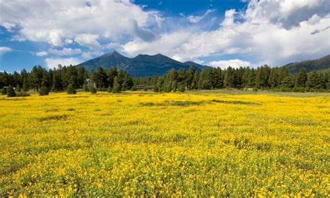 Flagstaff Arizona Tourism Attractions - AllTrips