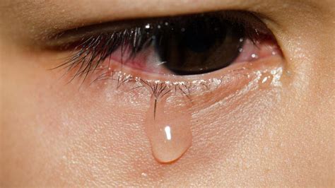 Adorable Moment: Boy Bursts Into Tears as He Finds Out He Will Not Stay With His Mom Forever ...