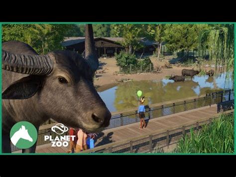 Wild Water Buffalo Habitat | Elm Hill City Zoo | Planet Zoo - YouTube